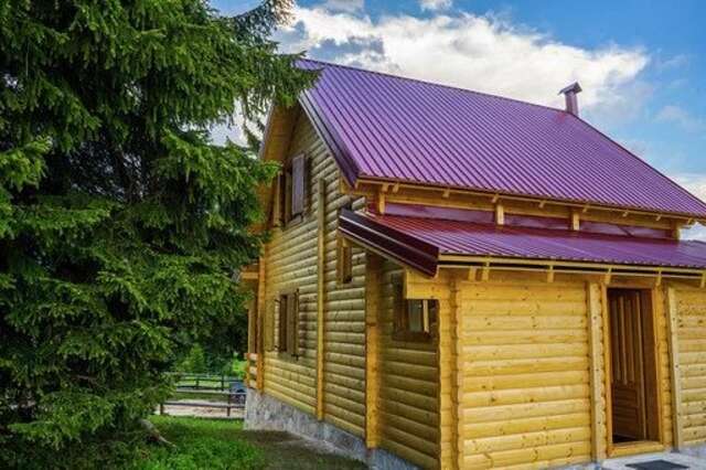 Гостевой дом Guest house Mickovic Жабляк-40